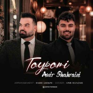 امیر شهرایینی
