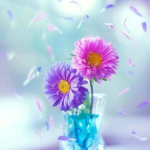 من از این دنیا فقط بد دیدم به تنهایی و خلوتم چسبیدم