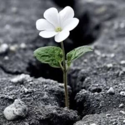عجب دریای سحر آمیزیه غمای عالم