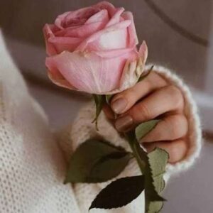 ندونسته دلمو به غریبه سپردم اون غریبه رو ساده شمردم