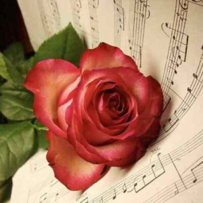 چته رفیق عاشق من چرا سراغ اون که رفته رو داری بازم میگیری