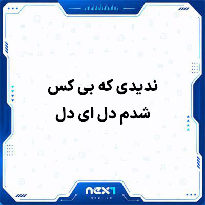ندیدی که بی کس شدم دل ای دل